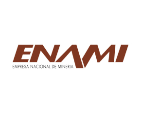 Clean, flat, monochrome wordmark logo that reads 'ENAMI', centered on white background, bold sans-serif, high contrast, minimal, no icon, 2000x1200.
