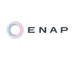 Clean, flat, monochrome wordmark logo that reads 'ENAP', centered on white background, bold sans-serif, high contrast, minimal, no icon, 2000x1200.